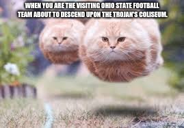 ball cats | WHEN YOU ARE THE VISITING OHIO STATE FOOTBALL TEAM ABOUT TO DESCEND UPON THE TROJAN'S COLISEUM. | image tagged in ball cats,football | made w/ Imgflip meme maker