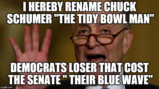 Chuck Schumer | I HEREBY RENAME CHUCK SCHUMER "THE TIDY BOWL MAN"; DEMOCRATS LOSER THAT COST THE SENATE " THEIR BLUE WAVE" | image tagged in chuck schumer | made w/ Imgflip meme maker