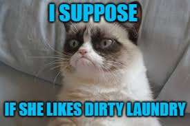 I SUPPOSE IF SHE LIKES DIRTY LAUNDRY | made w/ Imgflip meme maker