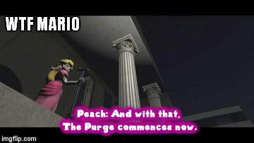 defaq mario!?!?! | WTF MARIO | image tagged in gifs,memes | made w/ Imgflip video-to-gif maker