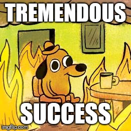 Dog in burning house | TREMENDOUS; SUCCESS | image tagged in dog in burning house | made w/ Imgflip meme maker