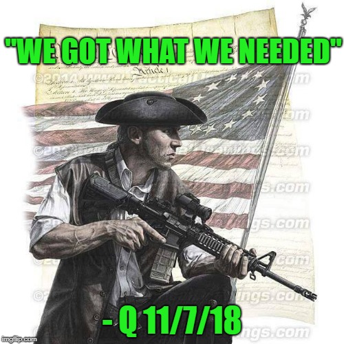 American Patriot | "WE GOT WHAT WE NEEDED"; - Q 11/7/18 | image tagged in american patriot | made w/ Imgflip meme maker