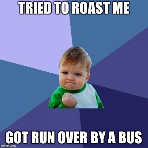 Success Kid Meme | TRIED TO ROAST ME; GOT RUN OVER BY A BUS | image tagged in memes,success kid | made w/ Imgflip meme maker