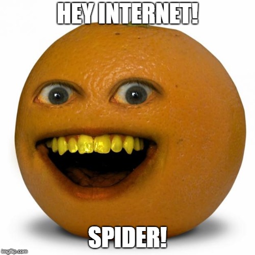 Annoying Orange | HEY INTERNET! SPIDER! | image tagged in annoying orange | made w/ Imgflip meme maker