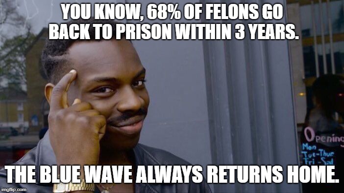 Felons are a Wasted Vote. | YOU KNOW, 68% OF FELONS GO BACK TO PRISON WITHIN 3 YEARS. THE BLUE WAVE ALWAYS RETURNS HOME. | image tagged in felons,blue wave,prison,democrats,liberal logic,memes | made w/ Imgflip meme maker