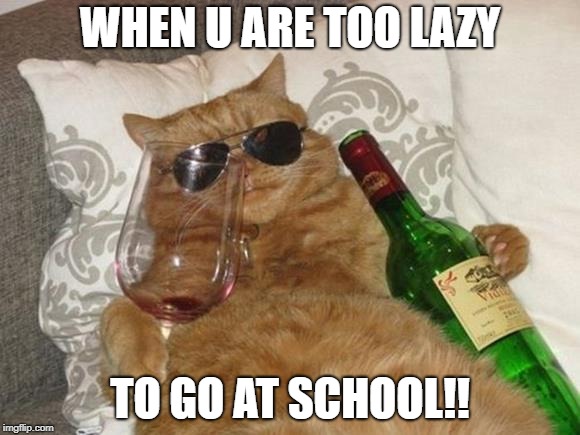 Funny Cat Birthday | WHEN U ARE TOO LAZY; TO GO AT SCHOOL!! | image tagged in funny cat birthday | made w/ Imgflip meme maker