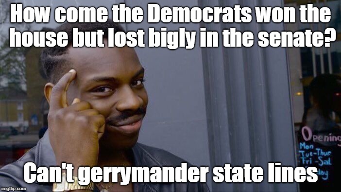 Makes sense. | How come the Democrats won the house but lost bigly in the senate? Can't gerrymander state lines | image tagged in memes,roll safe think about it,gerrymander,senate,house,democrat | made w/ Imgflip meme maker