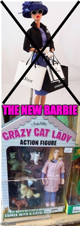 A Change of Wardrobe | THE NEW BARBIE | image tagged in barbie,feminism,cat explosion | made w/ Imgflip meme maker