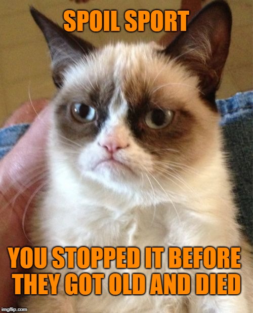 Grumpy Cat Meme | SPOIL SPORT YOU STOPPED IT BEFORE THEY GOT OLD AND DIED | image tagged in memes,grumpy cat | made w/ Imgflip meme maker
