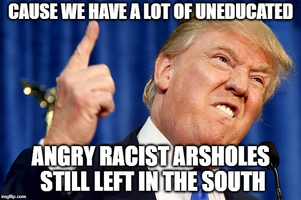 Donald Trump | CAUSE WE HAVE A LOT OF UNEDUCATED ANGRY RACIST ARSHOLES STILL LEFT IN THE SOUTH | image tagged in donald trump | made w/ Imgflip meme maker
