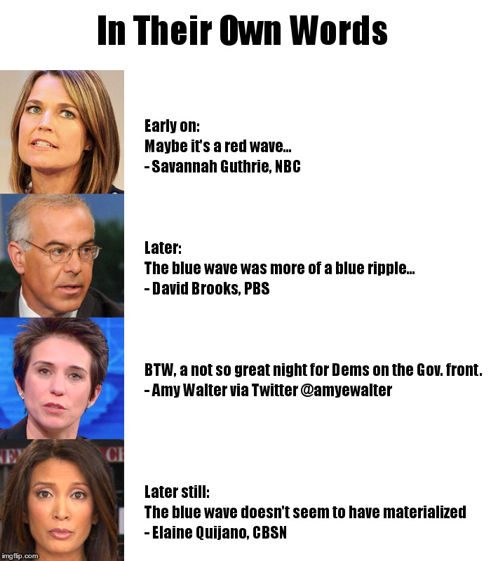 In Their Own Words | image tagged in blue wave,savannah guthrie,david brooks,amy walters,elaine quijano | made w/ Imgflip meme maker