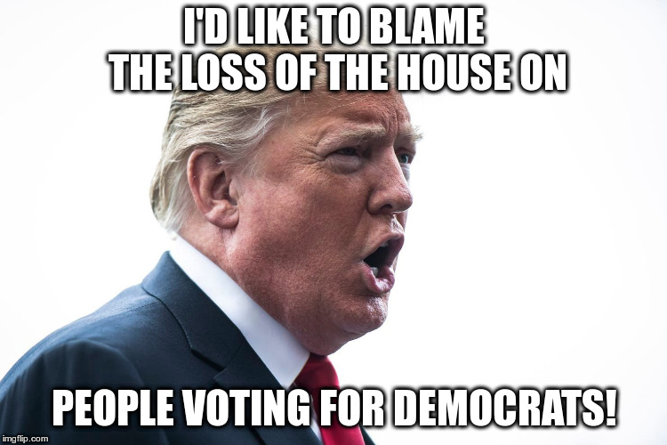 Yup, that would do it alright! | I'D LIKE TO BLAME THE LOSS OF THE HOUSE ON; PEOPLE VOTING FOR DEMOCRATS! | image tagged in trump,humor,midterms,no he didn't really say that,house of congress,troll | made w/ Imgflip meme maker