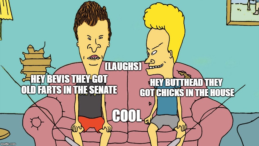 Bevis and Butthead | (LAUGHS); HEY BUTTHEAD THEY GOT CHICKS IN THE HOUSE; HEY BEVIS THEY GOT OLD FARTS IN THE SENATE; COOL | image tagged in bevis and butthead,funny,identity politics | made w/ Imgflip meme maker