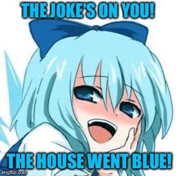 The House Went Blue! | THE JOKE'S ON YOU! THE HOUSE WENT BLUE! | image tagged in blue girl | made w/ Imgflip meme maker