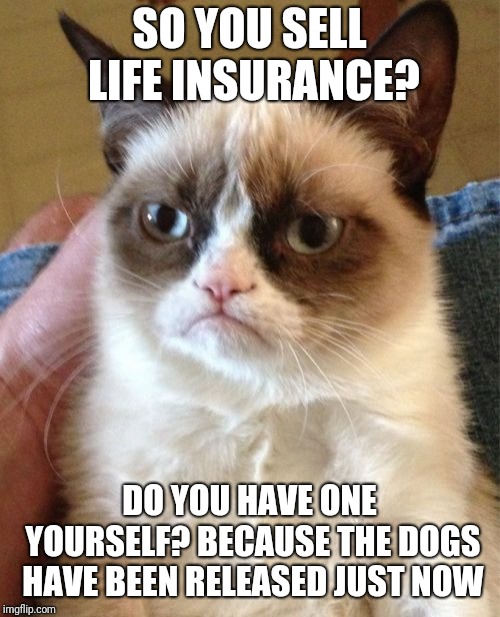 Grumpy Cat Meme | SO YOU SELL LIFE INSURANCE? DO YOU HAVE ONE YOURSELF? BECAUSE THE DOGS HAVE BEEN RELEASED JUST NOW | image tagged in memes,grumpy cat | made w/ Imgflip meme maker