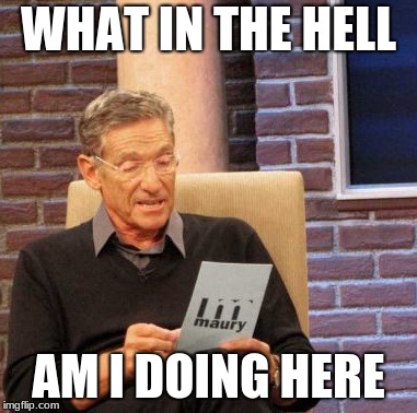 Maury Lie Detector Meme | WHAT IN THE HELL; AM I DOING HERE | image tagged in memes,maury lie detector | made w/ Imgflip meme maker