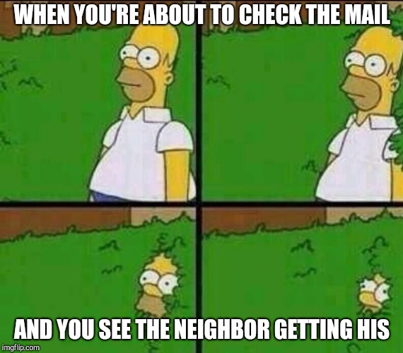 Social anxiety Homer | WHEN YOU'RE ABOUT TO CHECK THE MAIL; AND YOU SEE THE NEIGHBOR GETTING HIS | image tagged in homer simpson in bush - large,homer bush | made w/ Imgflip meme maker