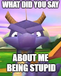 Spyro Death Stare | WHAT DID YOU SAY; ABOUT ME BEING STUPID | image tagged in spyro death stare | made w/ Imgflip meme maker