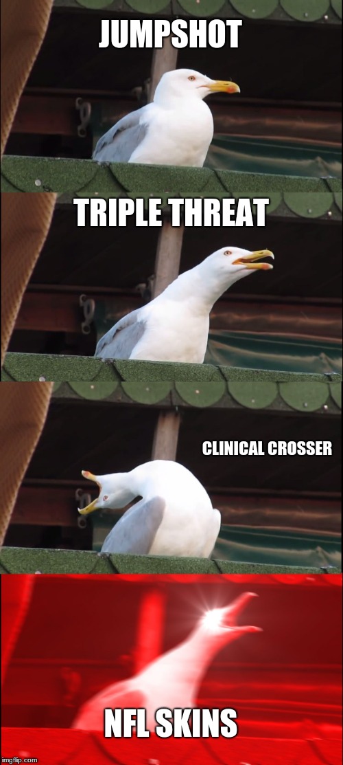 Inhaling Seagull | JUMPSHOT; TRIPLE THREAT; CLINICAL CROSSER; NFL SKINS | image tagged in memes,inhaling seagull | made w/ Imgflip meme maker