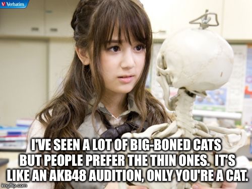 Oku Manami | I'VE SEEN A LOT OF BIG-BONED CATS BUT PEOPLE PREFER THE THIN ONES.  IT'S LIKE AN AKB48 AUDITION, ONLY YOU'RE A CAT. | image tagged in memes,oku manami | made w/ Imgflip meme maker