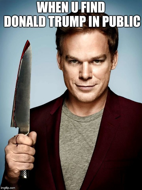 Don't delete Dexter! | WHEN U FIND DONALD TRUMP IN PUBLIC | image tagged in don't delete dexter | made w/ Imgflip meme maker