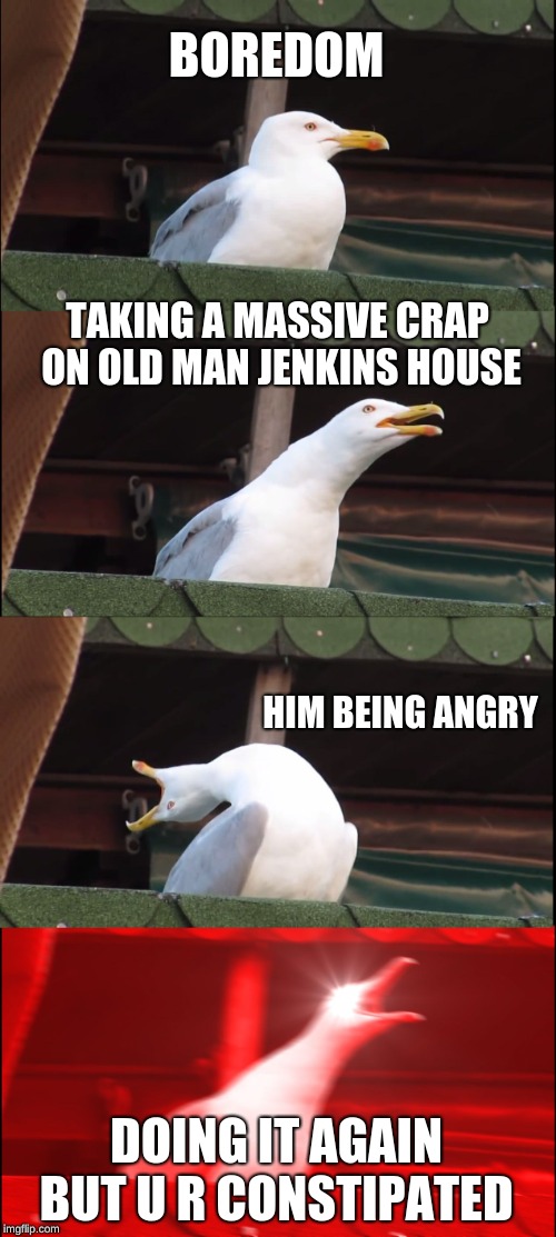 Inhaling Seagull Meme | BOREDOM; TAKING A MASSIVE CRAP ON OLD MAN JENKINS HOUSE; HIM BEING ANGRY; DOING IT AGAIN BUT U R CONSTIPATED | image tagged in memes,inhaling seagull | made w/ Imgflip meme maker