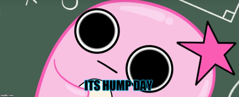ITS HUMP DAY | image tagged in hump day | made w/ Imgflip meme maker
