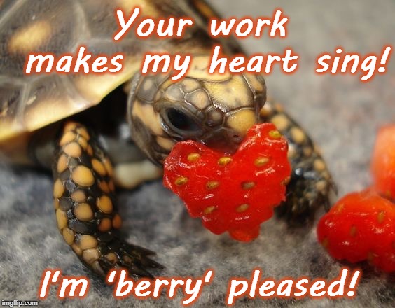 Baby turtle Valentine  | Your work makes my heart sing! I'm 'berry' pleased! | image tagged in baby turtle valentine | made w/ Imgflip meme maker