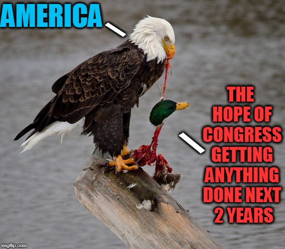 WARNING: Gridlock May Give You Heartburn | AMERICA; \; THE HOPE OF CONGRESS GETTING ANYTHING DONE NEXT  2 YEARS; \ | image tagged in vince vance,bald eagle,mallard,gridlock,actual advice mallard,american eagle | made w/ Imgflip meme maker