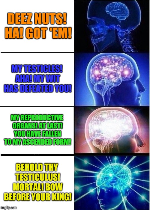 Expanding Brain | DEEZ NUTS! HA! GOT 'EM! MY TESTICLES! AHA! MY WIT HAS DEFEATED YOU! MY REPRODUCTIVE ORGANS! AT LAST! YOU HAVE FALLEN TO MY ASCENDED FORM! BEHOLD THY TESTICULUS! MORTAL! BOW BEFORE YOUR KING! | image tagged in memes,expanding brain | made w/ Imgflip meme maker