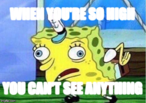 Mocking Spongebob | WHEN YOU'RE SO HIGH; YOU CAN'T SEE ANYTHING | image tagged in memes,mocking spongebob | made w/ Imgflip meme maker
