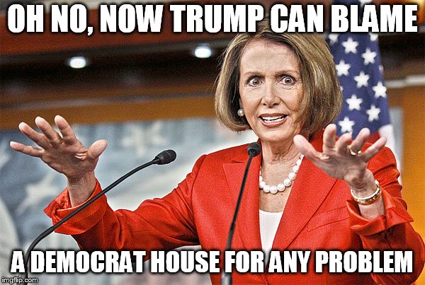 Nancy Pelosi is crazy | OH NO, NOW TRUMP CAN BLAME; A DEMOCRAT HOUSE FOR ANY PROBLEM | image tagged in nancy pelosi is crazy | made w/ Imgflip meme maker