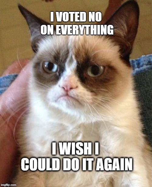 Grumpy Cat | I VOTED NO ON EVERYTHING; I WISH I COULD DO IT AGAIN | image tagged in memes,grumpy cat,elections,no,voting,cat memes | made w/ Imgflip meme maker