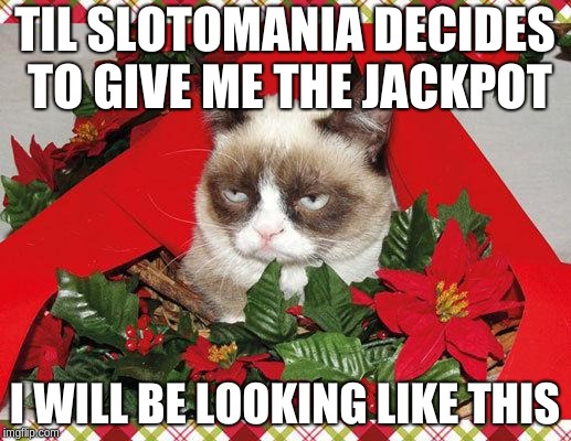 Grumpy Cat Mistletoe | TIL SLOTOMANIA DECIDES TO GIVE ME THE JACKPOT; I WILL BE LOOKING LIKE THIS | image tagged in memes,grumpy cat mistletoe,grumpy cat | made w/ Imgflip meme maker