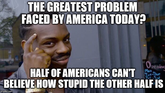 Roll Safe Think About It Meme |  THE GREATEST PROBLEM FACED BY AMERICA TODAY? HALF OF AMERICANS CAN'T BELIEVE HOW STUPID THE OTHER HALF IS | image tagged in memes,roll safe think about it | made w/ Imgflip meme maker