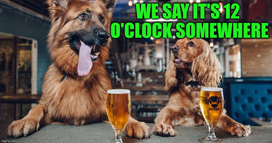 dog drinking | WE SAY IT'S 12 O'CLOCK SOMEWHERE | image tagged in dog drinking | made w/ Imgflip meme maker