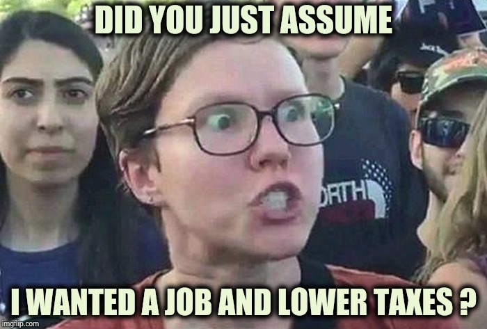My joke came true | DID YOU JUST ASSUME; I WANTED A JOB AND LOWER TAXES ? | image tagged in triggered liberal,minimum wage,slaves,never go full retard,stop reading the tags | made w/ Imgflip meme maker