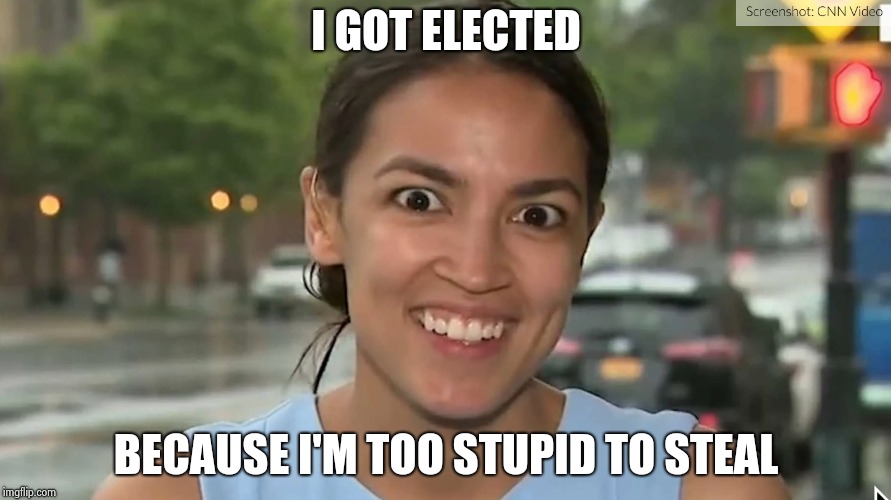 NO other explanation possible | I GOT ELECTED; BECAUSE I'M TOO STUPID TO STEAL | image tagged in alexandria ocasio-cortez,dumb people,blonde,why not both,you can't fix stupid | made w/ Imgflip meme maker