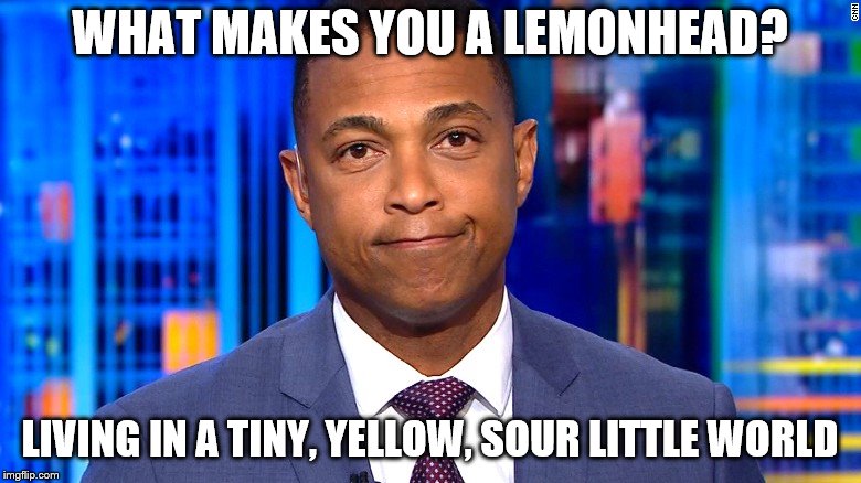 Don Lemon | WHAT MAKES YOU A LEMONHEAD? LIVING IN A TINY, YELLOW, SOUR LITTLE WORLD | image tagged in don lemon | made w/ Imgflip meme maker