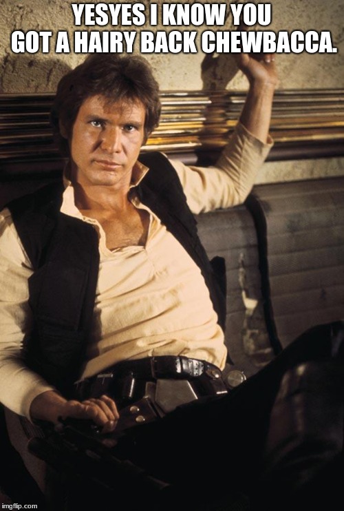 Han Solo Meme | YESYES I KNOW YOU GOT A HAIRY BACK CHEWBACCA. | image tagged in memes,han solo | made w/ Imgflip meme maker