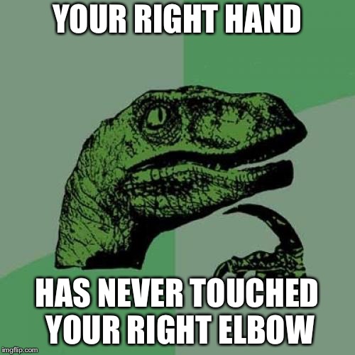 Philosoraptor Meme | YOUR RIGHT HAND; HAS NEVER TOUCHED YOUR RIGHT ELBOW | image tagged in memes,philosoraptor | made w/ Imgflip meme maker