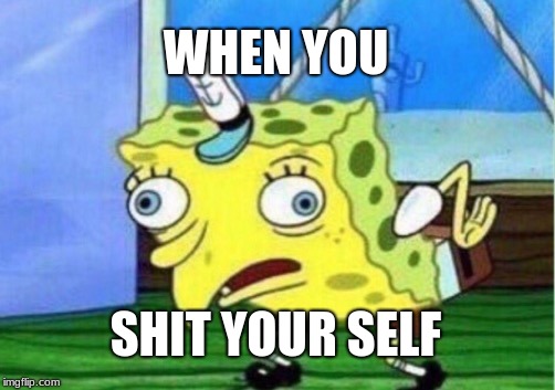 Mocking Spongebob Meme | WHEN YOU; SHIT YOUR SELF | image tagged in memes,mocking spongebob | made w/ Imgflip meme maker