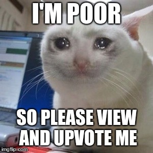Crying cat | I'M POOR; SO PLEASE VIEW AND UPVOTE ME | image tagged in crying cat | made w/ Imgflip meme maker