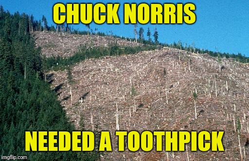 When Chuck Norris needs a toothpick he uses an entire forest | CHUCK NORRIS; NEEDED A TOOTHPICK | image tagged in chuck norris,tooth pick,trees,forest,memes | made w/ Imgflip meme maker