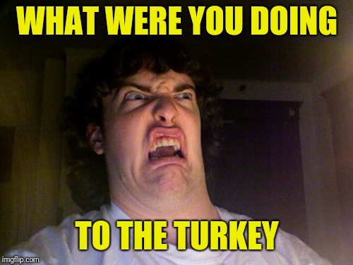 Oh No Meme | WHAT WERE YOU DOING TO THE TURKEY | image tagged in memes,oh no | made w/ Imgflip meme maker