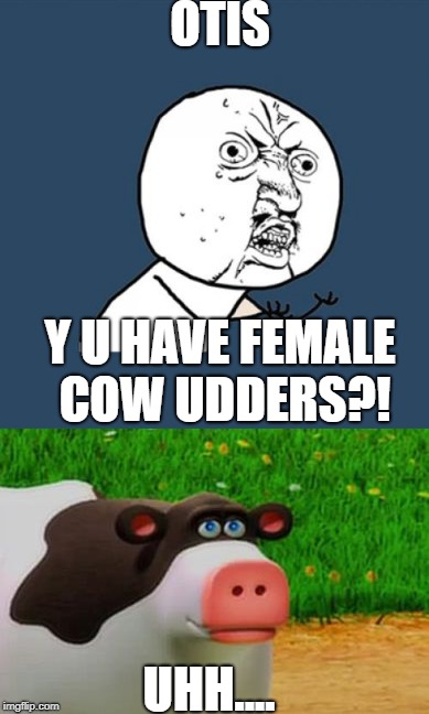 OTIS; Y U HAVE FEMALE COW UDDERS?! UHH.... | image tagged in y u no,perhaps cow | made w/ Imgflip meme maker