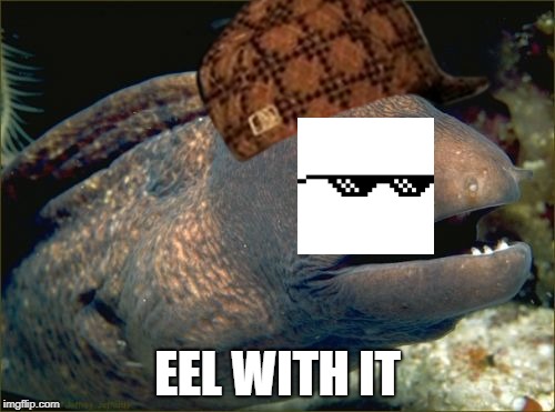 Bad Joke Eel Meme | EEL WITH IT | image tagged in memes,bad joke eel,scumbag | made w/ Imgflip meme maker