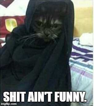 Hijab cat | SHIT AIN'T FUNNY. | image tagged in hijab cat | made w/ Imgflip meme maker