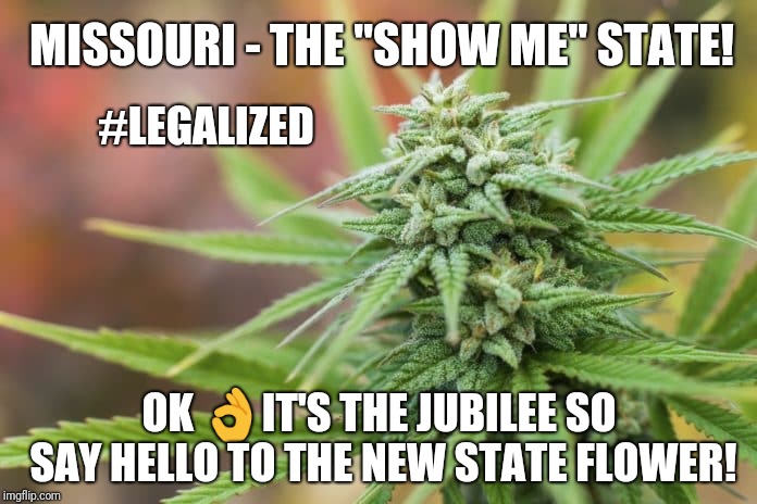 Legalize Freedom in America? Cannabis #Legalized - Missouri Midterms 2018 Happy Jubilee!! | MISSOURI - THE "SHOW ME" STATE! #LEGALIZED; OK 👌IT'S THE JUBILEE SO SAY HELLO TO THE NEW STATE FLOWER! | image tagged in legalize weed,missouri,freedom,farmers,make america great again,the great awakening | made w/ Imgflip meme maker
