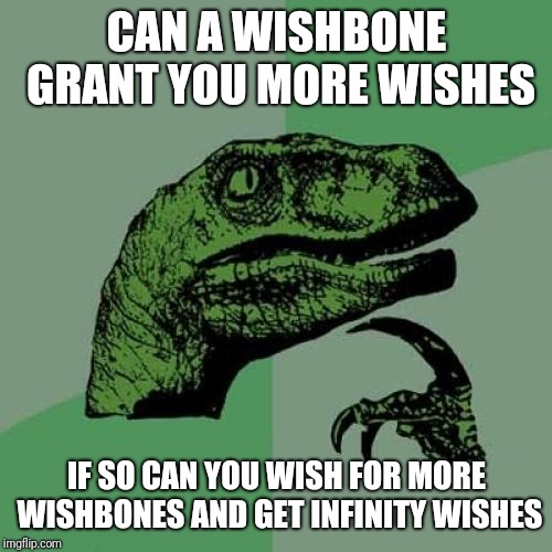 Philosoraptor Meme | CAN A WISHBONE GRANT YOU MORE WISHES IF SO CAN YOU WISH FOR MORE WISHBONES AND GET INFINITY WISHES | image tagged in memes,philosoraptor | made w/ Imgflip meme maker